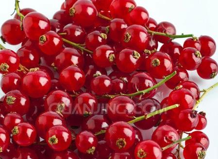 孕妇能吃醋栗吗？孕妇吃醋栗有什么好处