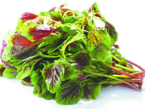 孕妇能不能吃苋菜？孕妇吃苋菜的做法