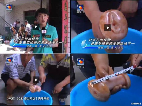 最纯情女记者：西安女记者把自慰器称为“肉灵芝”