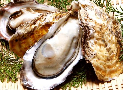 怀孕期间能吃海蛎子吗?孕妇可以吃海蛎子吗