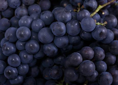 孕妇吃葡萄好吗?孕妇可以吃葡萄吗