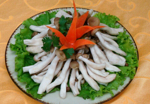 哺乳期可以吃蟹味菇吗?吃蟹味菇的禁忌