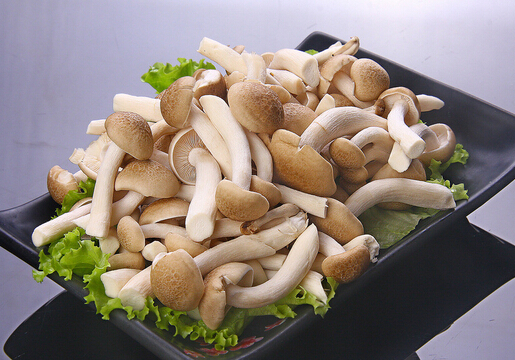 产妇可以吃蟹味菇吗?产妇吃蟹味菇的禁忌