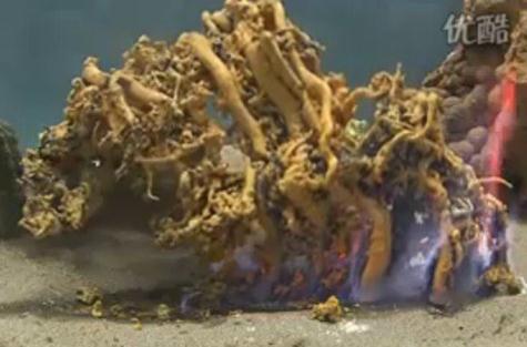 为什么叫法老之蛇？著名化学实验法老之蛇硫氰化汞膨胀反应