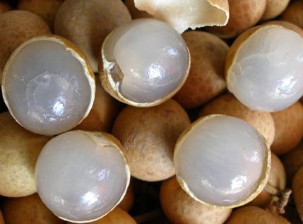 产妇能吃桂圆吗?产妇吃桂圆的做法