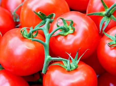哺乳期能吃西红柿吗？哺乳期吃西红柿的做法