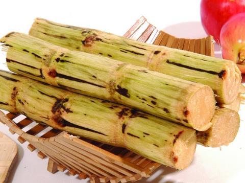 哺乳期能吃甘蔗吗?哺乳期吃甘蔗有什么好处