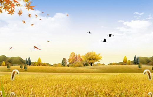 秋季吃什么减肥效果最好？