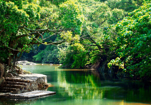 春季传染病有哪些？怎样预防春季传染病