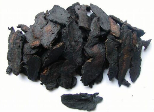 熟地黄的功效与作用-熟地黄是什么？