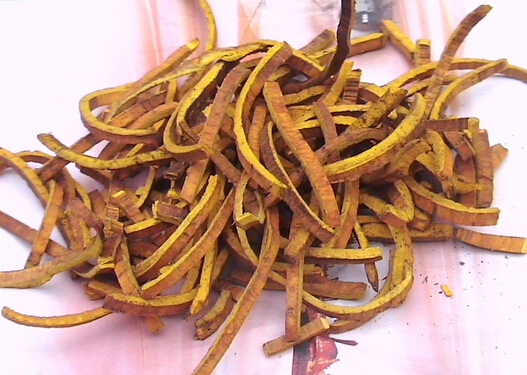 黄柏的介绍-黄柏的功效与作用