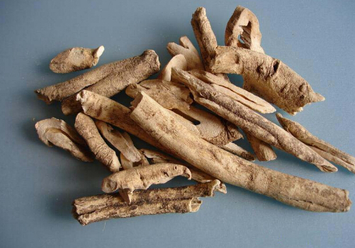 食用丹皮要注意什么?丹皮的功效与作用