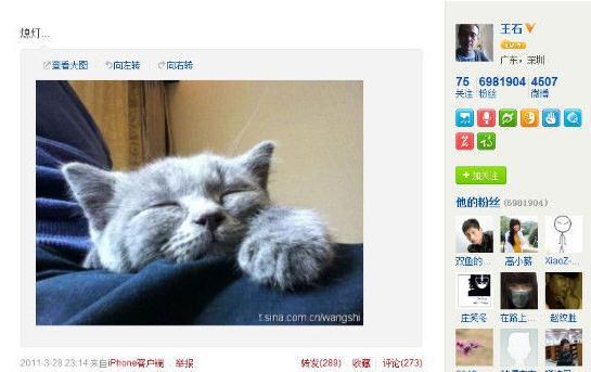 王石新欢田朴珺微博曝光,二人巴西吃烤肉,微博晒同一只猫