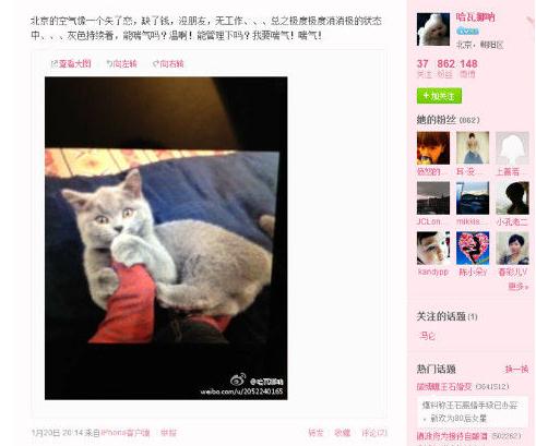 王石新欢田朴珺微博曝光,二人巴西吃烤肉,微博晒同一只猫