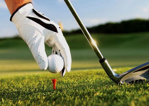 【图】高尔夫球运动对于健身的益处-高尔夫球