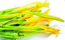 孕妇能吃黄花菜吗？鱼腥草对孕妇好吗？