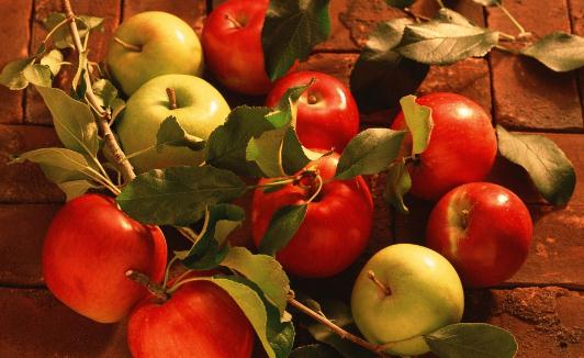 苹果减肥月瘦15斤?脱水减肥危及心肺!