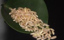 糙米是什么？糙米减肥法一周就见效！
