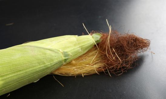 小小玉米须的大大功效:玉米须食疗方