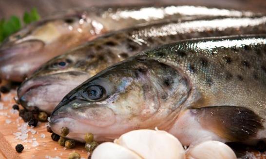 怎么预防肝癌?鳗鱼防肝癌效果好