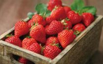 哪些水果能排毒？吃什么水果可以排毒