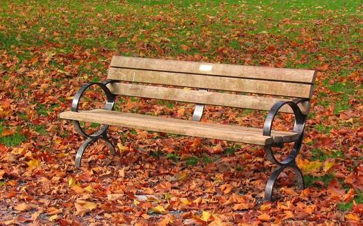 秋季炎凉 孕妈妈该怎么保证健康?