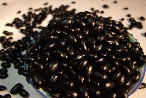 吃什么补肾?春季补肾首选六大黑色食物