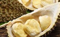 榴莲壳怎么吃更有营养？榴莲壳的各种吃法