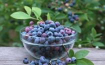 大脑最佳抗老食物是蓝莓-最佳养生食物排名