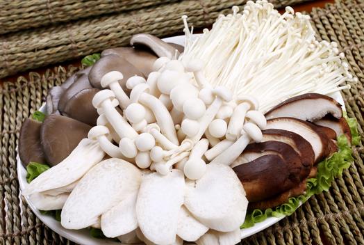 孩子吃食用菌能补脑吗？孩子吃什么食物补脑