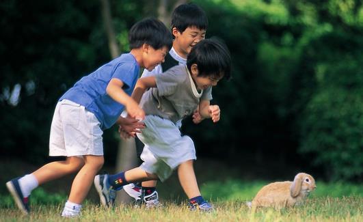 宝宝上火可以喝凉荼吗?