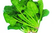 孕妇可以喝饮料吗？补充营养要吃什么？