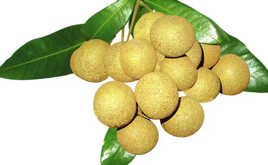 坐月子有哪些常见误区？