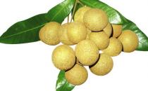 坐月子有哪些常见误区？