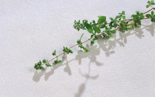 药妆品有什么功能?用药妆会产生抗药性吗?