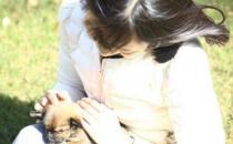 护发食疗方：黑豆蜜茶的做法