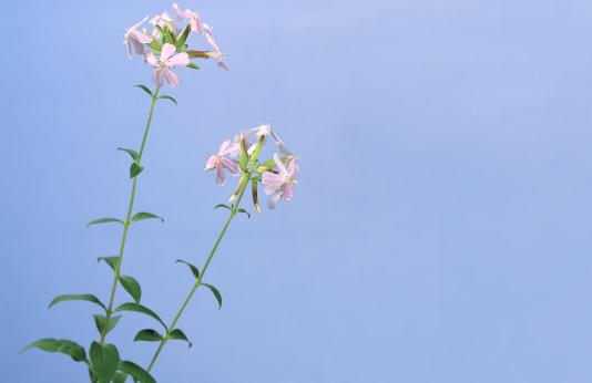 有双下巴？教你快速消除双下巴！