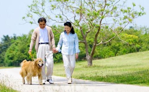 脾胃湿热的症状-脾胃湿热喝什么茶?