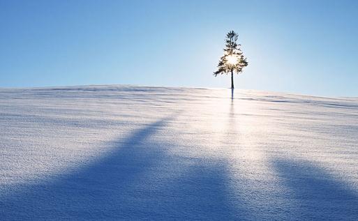 冬季怎么暖胃?红枣葱白汤的做法