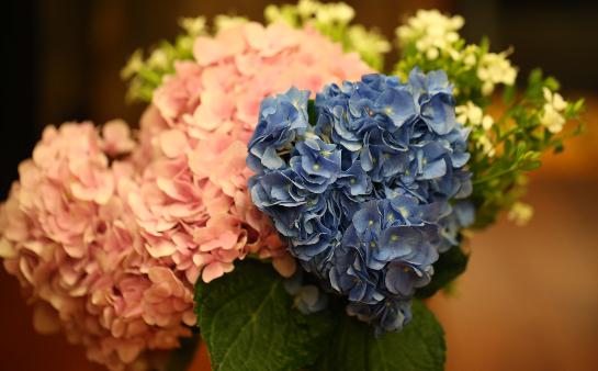 女人怕冷怎么调节?畏寒食谱推荐