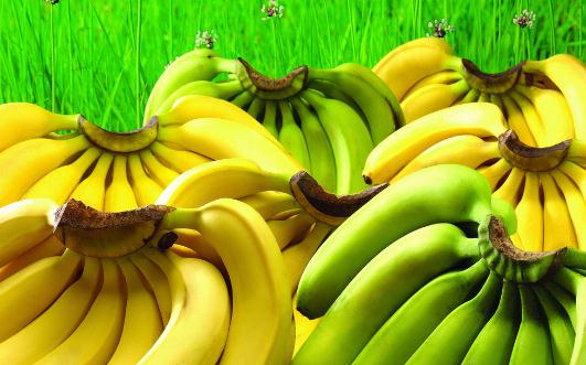有肾病的人可以吃香蕉吗？肾病患者吃什么？