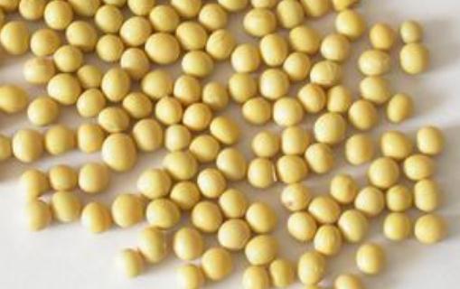 大脑需要什么营养素?吃什么能补脑?