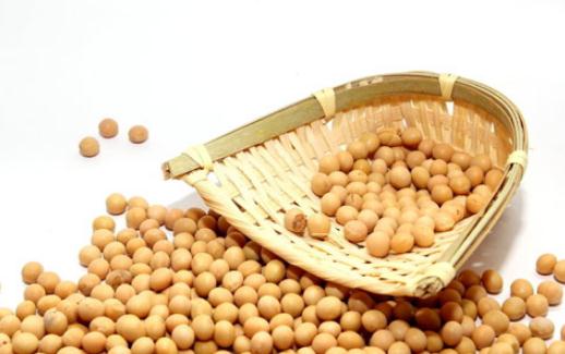 吃黄豆有什么好处?黄豆的蛋白质极高