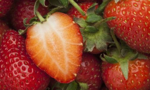 吃什么食物能够防癌?苦瓜防癌一级棒