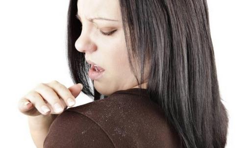 头皮屑多的人应该怎么样调理饮食