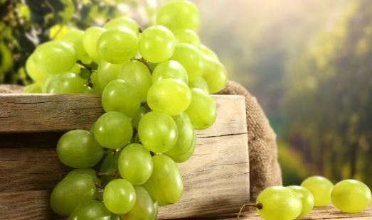 吃葡萄不吐葡萄皮有啥好处?