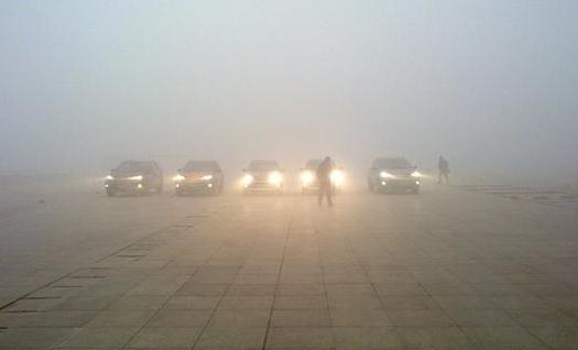 雾霾天吃什么食物有利于健康?