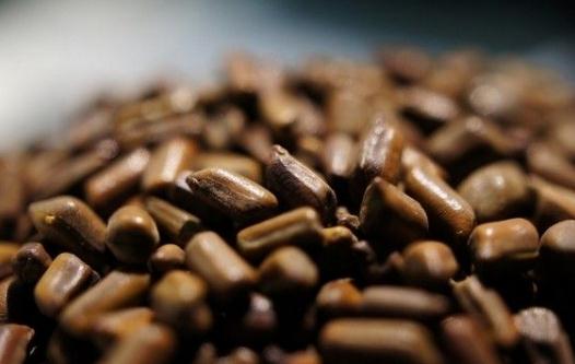 决明子怎么泡水喝最好?决明子润肠通便