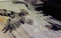 永春纸织画的魅力