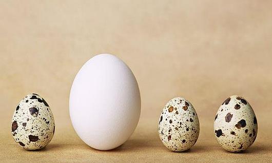 鹌鹑蛋和鸡蛋有什么区别？哪个营养价值更高？